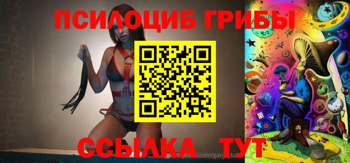 Псилоцибиновые грибы Psilocybine cubensis  купить  сайты  Великий Новгород  Вход с VPN 