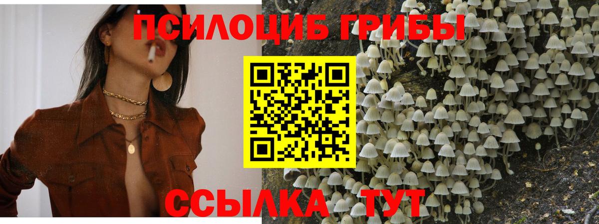 Галлюциногенные грибы Magic Shrooms Великий Новгород